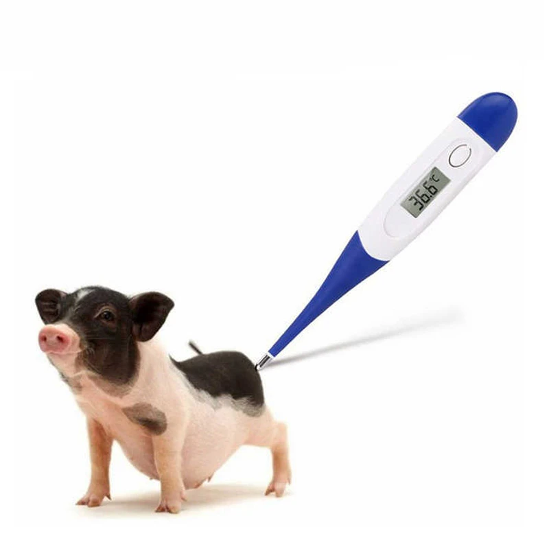 Poultry Farm Thermometer